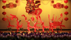 护理学院举行2010年迎新晚会