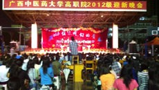 高等职业技术学院举行2012年迎新晚会