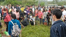 一附院开展2013年学雷锋义务植树活动