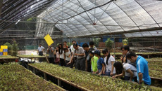 凝聚青春力量 服务“两个建成”——第一临床医学院支农团赴容县开展“三下乡”社会实践活动