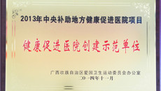 一附院荣获广西首批健康促进医院创建示范单位