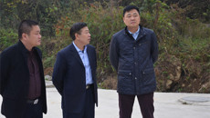 一附院专家博士服务团赴德保县开展技术帮扶