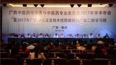 第九届广西中医药学会青年中医药专业委员会2017年学术年会顺利举办