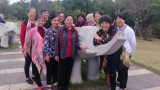 我校离退休职工举行健步走、外出参观活动庆祝十九大胜利召开