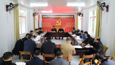 学校党委到隆安县帮扶联系村集体办公