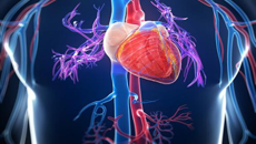 一附院率先引进左右心功能同步检测分析仪开展全心功能检测