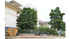 岐黄之道 天人合一——青铜组雕“论道”在我校仙葫校区落成