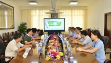 西林县中医医院到我院参观交流