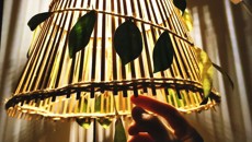 护理学院成功举办2019年女生节之环保手工创意大赛