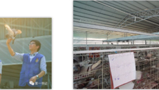 【广西电视台】脱贫攻坚：“法官书记”、“医生书记” 用好专业知识，扶贫路子广！