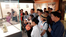 后勤处党支部赴合浦汉代文化博物馆开展主题党日活动