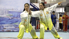 我校代表团在广西第十二届学生运动会武术项目上荣获6金8银9铜