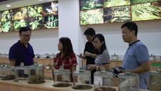 广西老木棉投资有限公司来我校参观交流