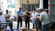 广西日报整版报道一附院脱贫攻坚工作