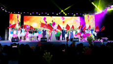 “医心抗疫，青春有你”——我校2020级迎新晚会燃情上演