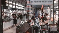 【喜讯】我校在第六届广西大学生艺术展演中荣获佳绩