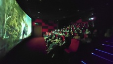 公共卫生与管理学院党史学习教育《长津湖》观影 主题党日活动圆满结束