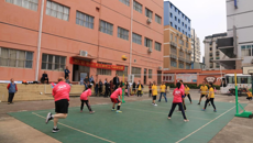 星空彩票老版本下载制药厂第五届职工气排球比赛圆满结束