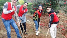 一附院团委组织青年参与“守护绿水青山 共建美好家园”植树志愿服务活动