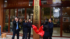 壮医药养生养老学术研讨会暨第二届壮医养生养老特色技术培训班在大化举行