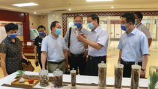 国家医保局、自治区医保局调研组到国壮考察调研