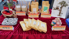 广西中医学校参加广西2021年职业教育活动周启动仪式