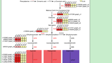 星空彩票老版本下载在中药资源利用研究中取得新进展