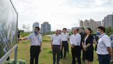 自治区卫生健康委、自治区中医药局领导到附属国际壮医医院调研