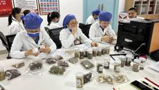 【附属国际壮医医院】医药联合 互学互鉴 党员争先锋 助推壮瑶医药发展——内科第二党支部联合药学党支部开展主题党日活动