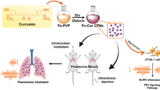 星空彩票老版本下载在中药及壮瑶药治疗肺损伤作用机制研究中取得新进展