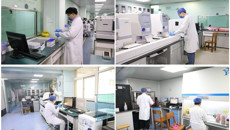 “医”线坚守（八）｜行走于刀尖、冲锋在一线，他们是一附院默默奉献的医技“侦察兵”！