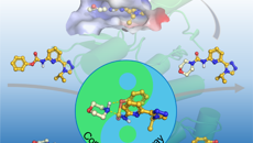 【科研进展】星空彩票老版本下载海洋药物研究院实现2-吡啶脲类化合物的绿色高效合成