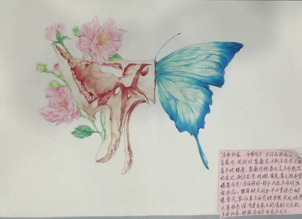 作品16号壮医药学院24级壮医1班何国悦 作品16号壮医药学院24级壮医1班何国悦