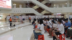 附属国际壮医医院：壮医药研学，如约而至