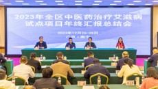 附属瑞康医院召开全区中医药治疗艾滋病试点项目年终汇报总结会
