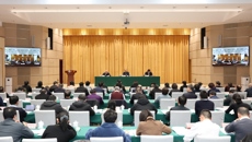 附属国际壮医医院在全区中医药工作会议上作交流发言