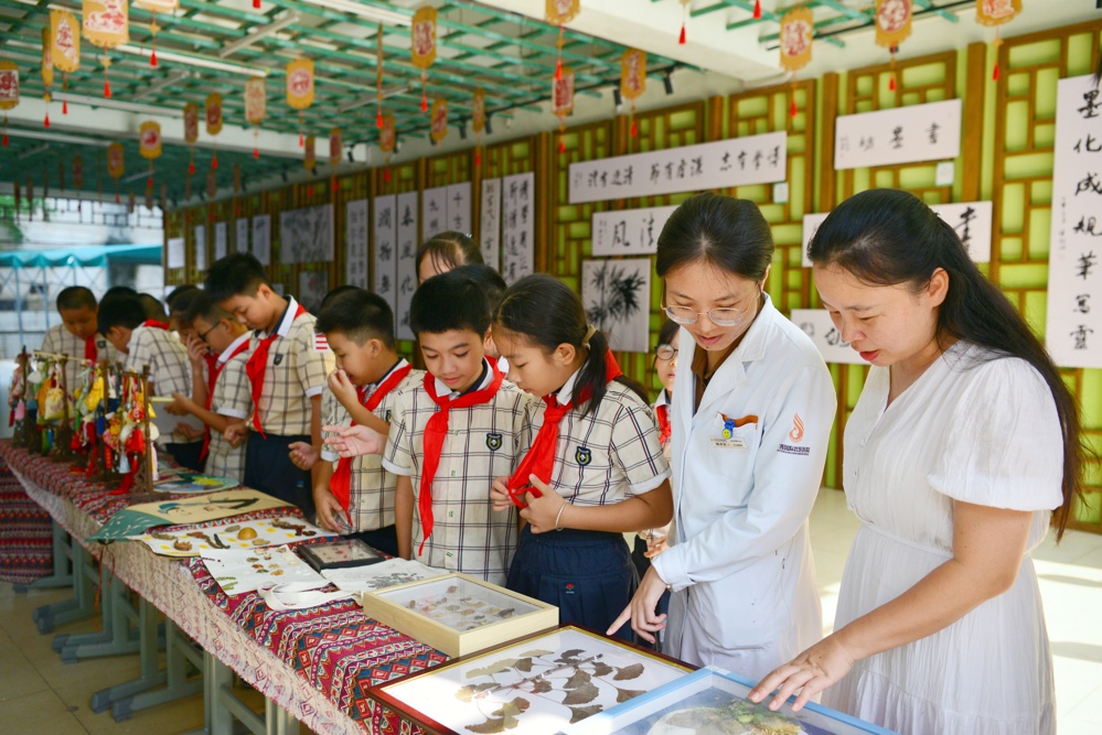 参观学校2024年暑假中医药文化德育作业