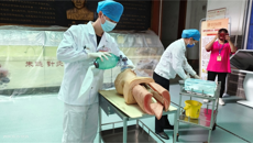 广西中医急诊质控中心在南宁市开展2024年督导工作