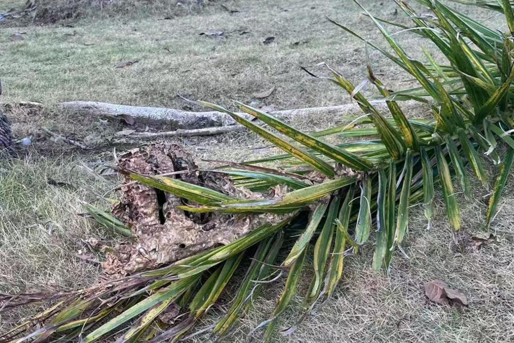 d96bc3027c7a08b1b68be35bb1f314f