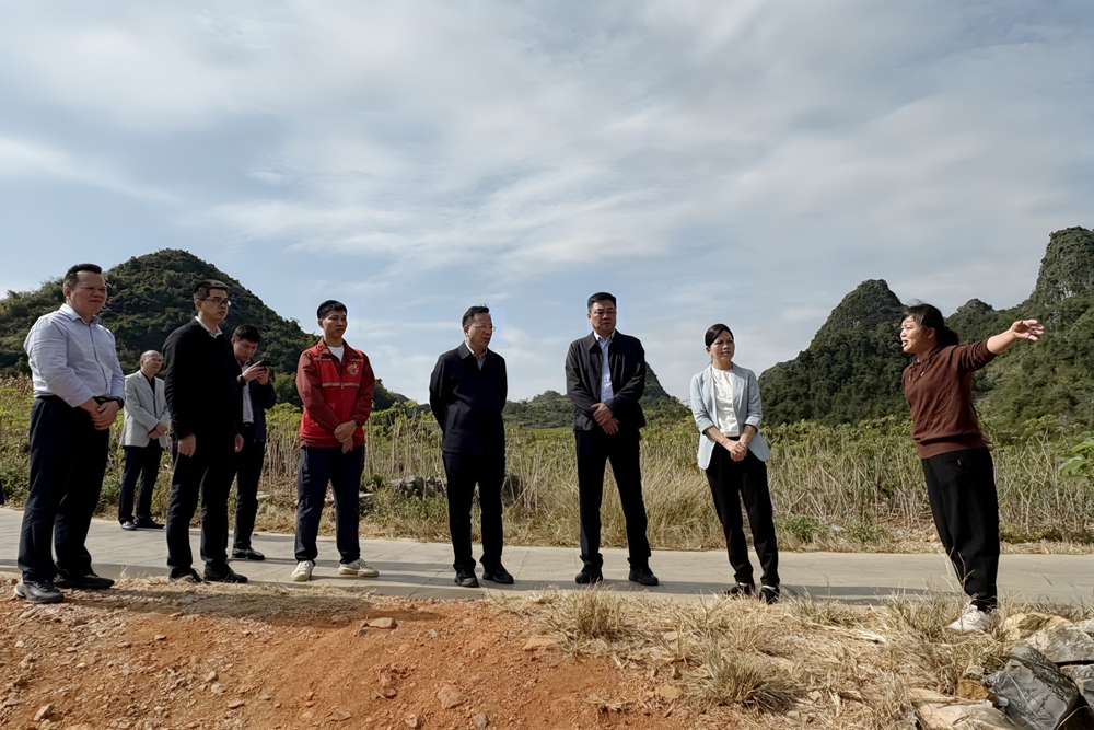 微信图片_20241128112119_副本