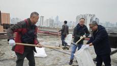 ​百年乐制药有限公司制剂车间党支部开展“厂区美化，党员先行”主题党日活动