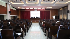 广西名中医黄国东、陈日兰率队到武鸣开展“名中医八桂行”暨对口支援活动