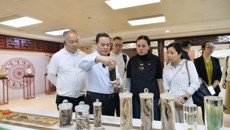 香港共享基金团队到附属国际壮医医院参观交流