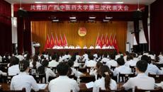 共青团星空彩票老版本下载第三次代表大会顺利召开