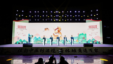 附属国际壮医医院参加中医药国门边境行主题活动 边境群众感受壮瑶医药魅力