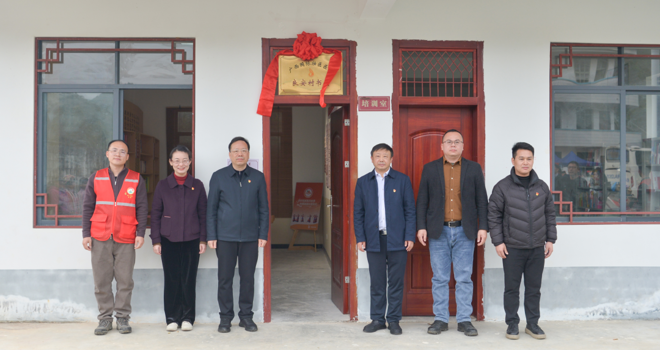 莫锦荣书记带队赴隆安县开展乡村振兴“巡回医疗”健康帮扶活动