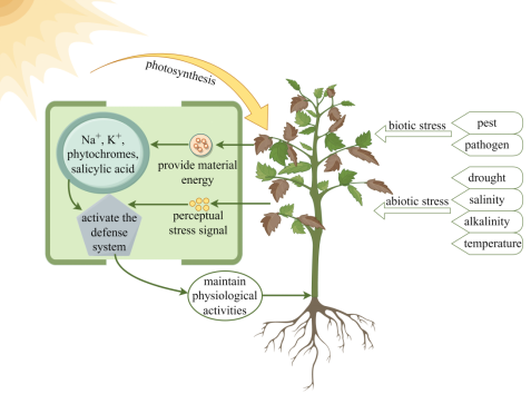 647585B4C696411F534A3B79D78FE067